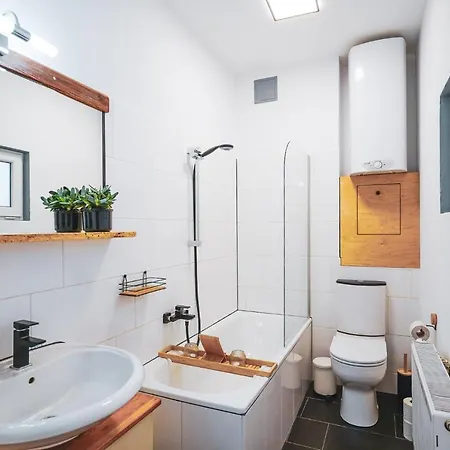 Zur Alten Post, 48qm Individualapartment Mit Blick Ueber Zittaus Altstadt, Im Altstadtkern Umrandet Vom Zittauer Gebirge Zittau