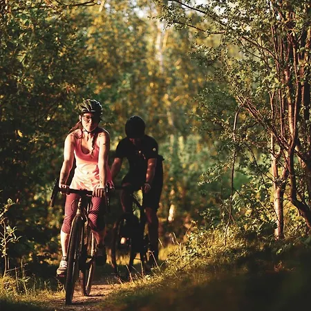Zur Alten Post, 48qm Individualapartment Mit Blick Ueber Zittaus Altstadt, Im Altstadtkern Umrandet Vom Zittauer Gebirge