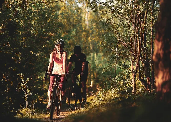 Zur Alten Post, 48qm Individualapartment Mit Blick Ueber Zittaus Altstadt, Im Altstadtkern Umrandet Vom Zittauer Gebirge